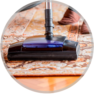 Area Rug Cleaning Services