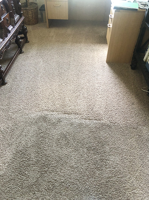 Idaho Carpet & Floor Care - Idaho